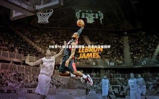 B体育-小国球星巅峰期唯一世界杯征程回顾