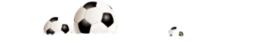 B体育