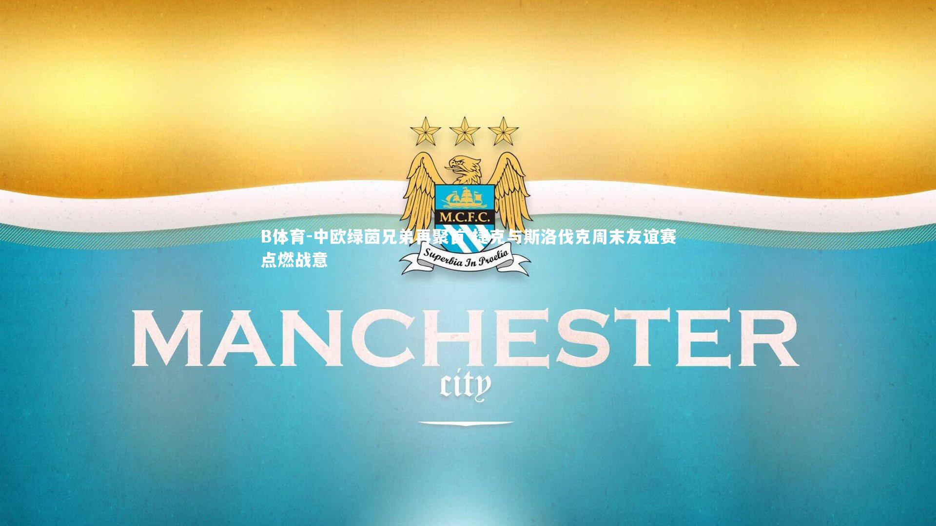 B体育-中欧绿茵兄弟再聚首 捷克与斯洛伐克周末友谊赛点燃战意-第1张图片-B体育