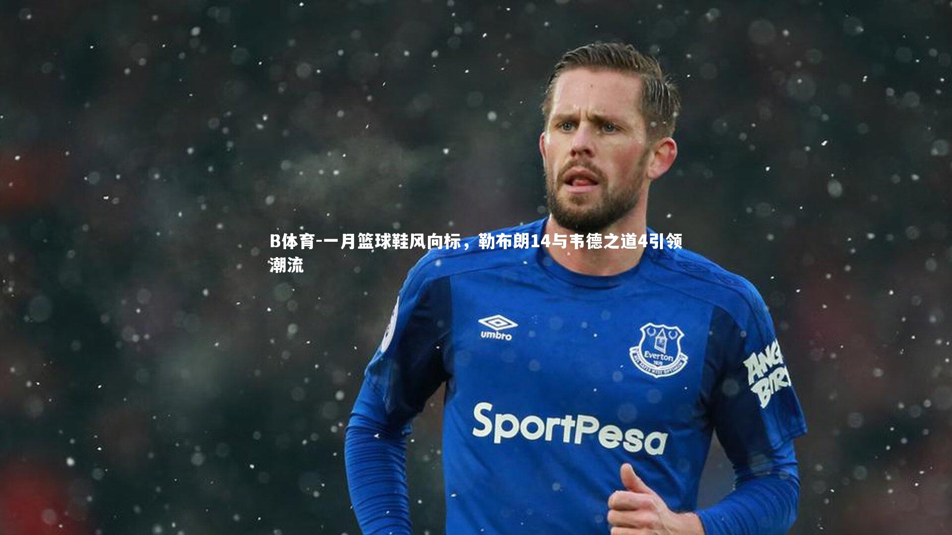 B体育-一月篮球鞋风向标，勒布朗14与韦德之道4引领潮流-第2张图片-B体育